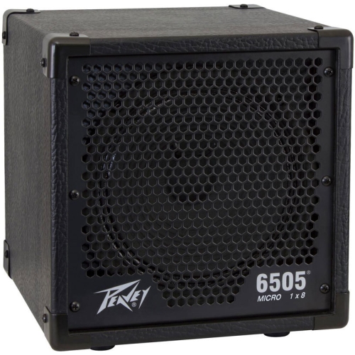 Peavey best sale guitar cabinet